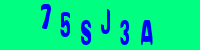 Blue Captcha Image
